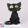 黑貓Black Cat