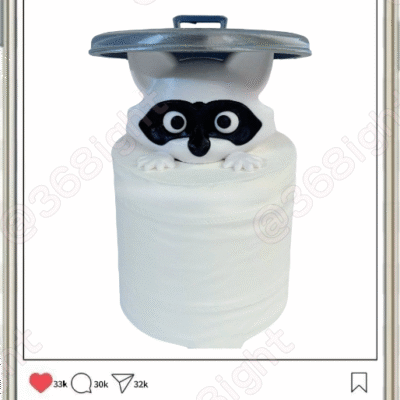 萌趣浣熊廁紙筒